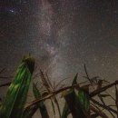 SKY.STAR.SEA 이미지