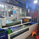 육해공 | 강동구 길동 대하구이 맛집 추천 야장감성을 느낄수 있는 대하구이 맛집 내돈내산 후기 | 육해공