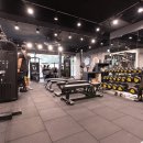 홍대입구역PT, 홍대 헬스장을 찾는다면 서교 더블유티에서(WTS) 함꼐해요/