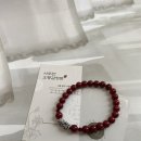 산호기원
