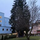 잘츠부르크 | 잘츠부르크 가성비 좋은 숙소 | 기차역 바로 앞 잘츠부르크룸스 후기🛏️