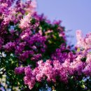 (주)영신에너지 이미지