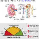 강선우내과의원 이미지