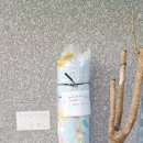 맑은사하환경 이미지