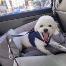 현대종합펫(현대동물병원) 이미지