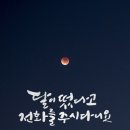달이떴다고전화를주시다니요 네이버블로그