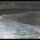 여기는 울산 정자해변 몽돌해수욕장입니다..... 이미지