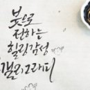 힐링 캘리그라피 이미지