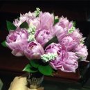 연보라(주) 이미지