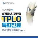퍼스트동물메디컬센터평택고덕