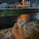 용산천변길 이미지