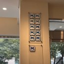 벨라루나 이미지