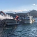 속초해경거진파출소 이미지