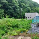 달천펜션 이미지