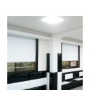 송파 화이트타이거 태권도 이미지