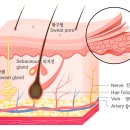 닥터웰의원 이미지