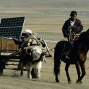 발해양꼬치 이미지