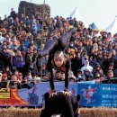 들불