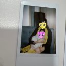 드림맘산후케어 이미지