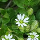 수 그린웨이 이미지