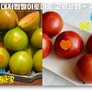 달콤싱싱청과