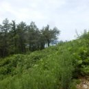 남해-161 이미지