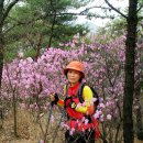 노적봉길 이미지