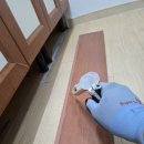 독포유 | 의왕시 원룸 빌라 바퀴벌레 유입경로 1순위 발견, 유입경로차단으로 종결(벌레자비 방역 후기)