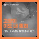 이도메디컬 이미지