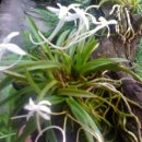 월성농장 이미지