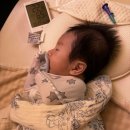 성심피씨앤주 | [퇴원 후 3주차 육아일기] 우체국 무료 엄마보험 희귀질환 청구 방법, 분당서울대 2차 접종, 잠복고환...