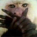 레브드몽돌 펜션 이미지