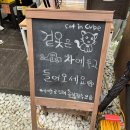 인큐브시스템 이미지
