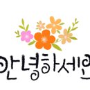 테라스에별이뜨면 이미지