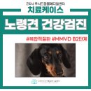 김진영내과 이미지