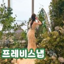 프레비스냅 | 프레비스냅 내돈내산 후기(개인 추가 페이백O)