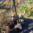 유계농장 이미지