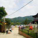 비발디 - 안양시 동안구 관평로313번길 23 | 가평 빠지 추천 수상레저 바베큐 숙소까지 클럽비발디 후기