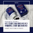 비타민랜드 | 생일선물로 받은 건강템? 허벌랜드 이뮨 멀티비타민 미네랄 구미젤리 솔직 후기!