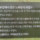 동의주열 이미지