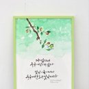 시와 캘리 이미지