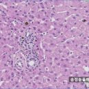 송정동물메디컬센터 이미지