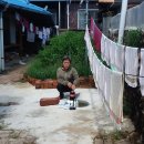 박순원 에스앤비의원 이미지