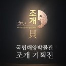 영도의 자연과 함께 일상에서의 ’탈피’ | 부산 영도 실내 관광지 추천 | 국립해양박물관 조개 특별전 관람기