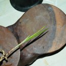 자산동011 이미지