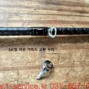 에버그린 이미지