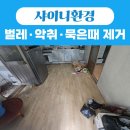 논산주방 | 논산 시골주택 청소 후기｜방치된 주방·화장실·냉장고 벌레까지 완벽 제거 (샤이니환경)