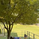 주말 어린이교육 이미지