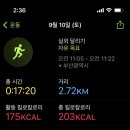 낙동대로 이미지