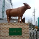 농업회사법인 (주)디에스피드 이미지